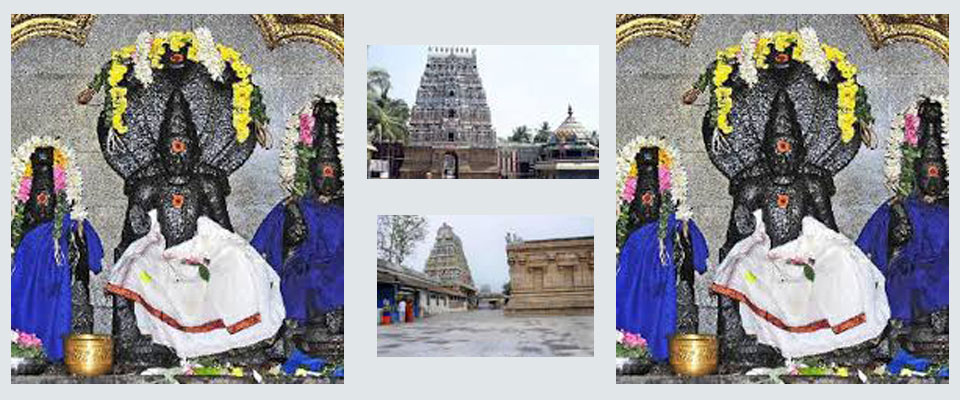 Nagannathaswamy Temple