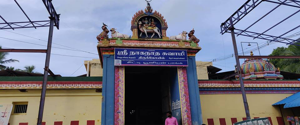  Nagannathaswamy Temple